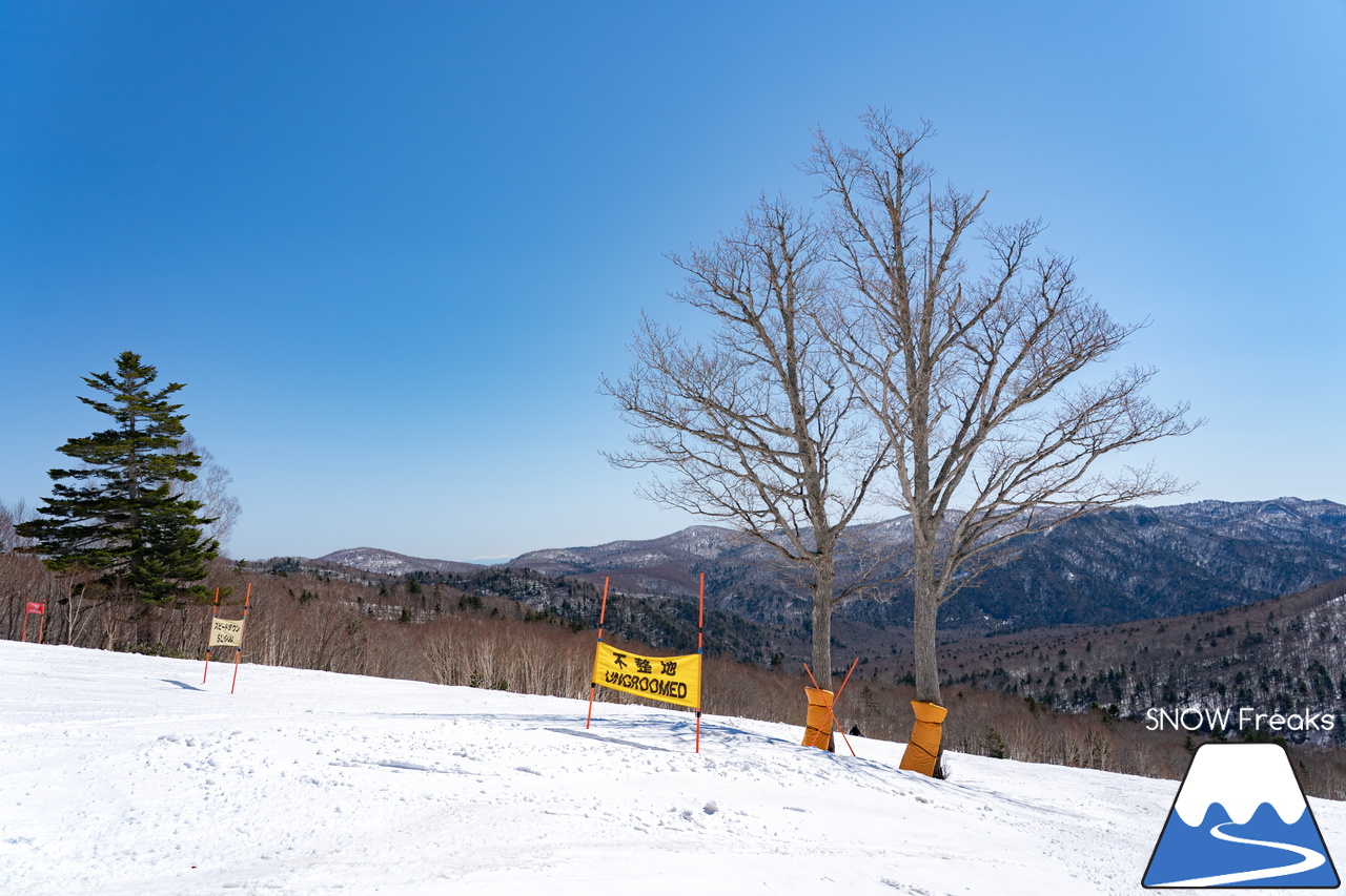 札幌国際スキー場｜ゴールデンウイーク初日も全コース滑走可能OK！！真っ白な雪と澄んだ青空 ＝ 絶好の春スキー＆スノーボード日和♪そして、日本海の彼方に、なんと利尻富士が見えた？！